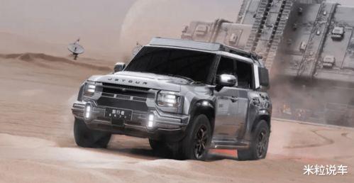 精品区国产,精品区国产生态圈概览