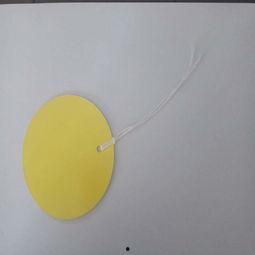 国产黄色图片,暗流涌动的网络迷雾