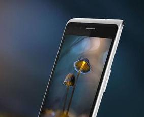 国产视频手机在线